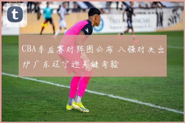 CBA季后赛对阵图公布 八强对决出炉广东辽宁迎关键考验