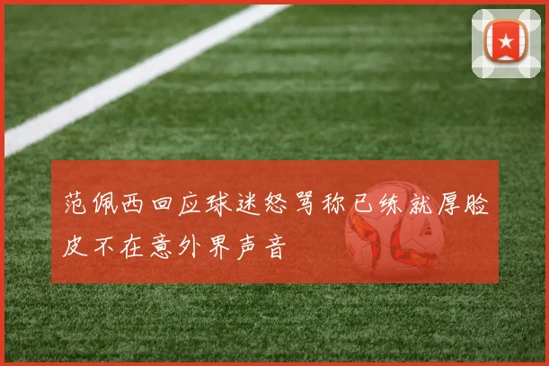 范佩西回应球迷怒骂称已练就厚脸皮不在意外界声音